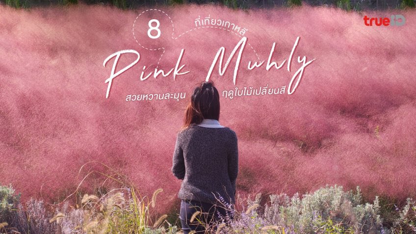 LaPaiTiew's tweet photo. Pink Muhly ทุ่งหญ้าสีชมพูสีหวานโรแมนติกในฤดูใบไม้เปลี่ยนสีที่ เกาหลี ขอบอกว่าถ่ายรูปสวยมากกก ต้องตามไปเช็คอิน~

📸 ดูพิกัดเต็มๆ ที่นี่ https://t.co/wV8r2aGGFW

#ลาไปเที่ยว #เกาหลี #pinkmuhly https://t.co/eNPn475Ecv