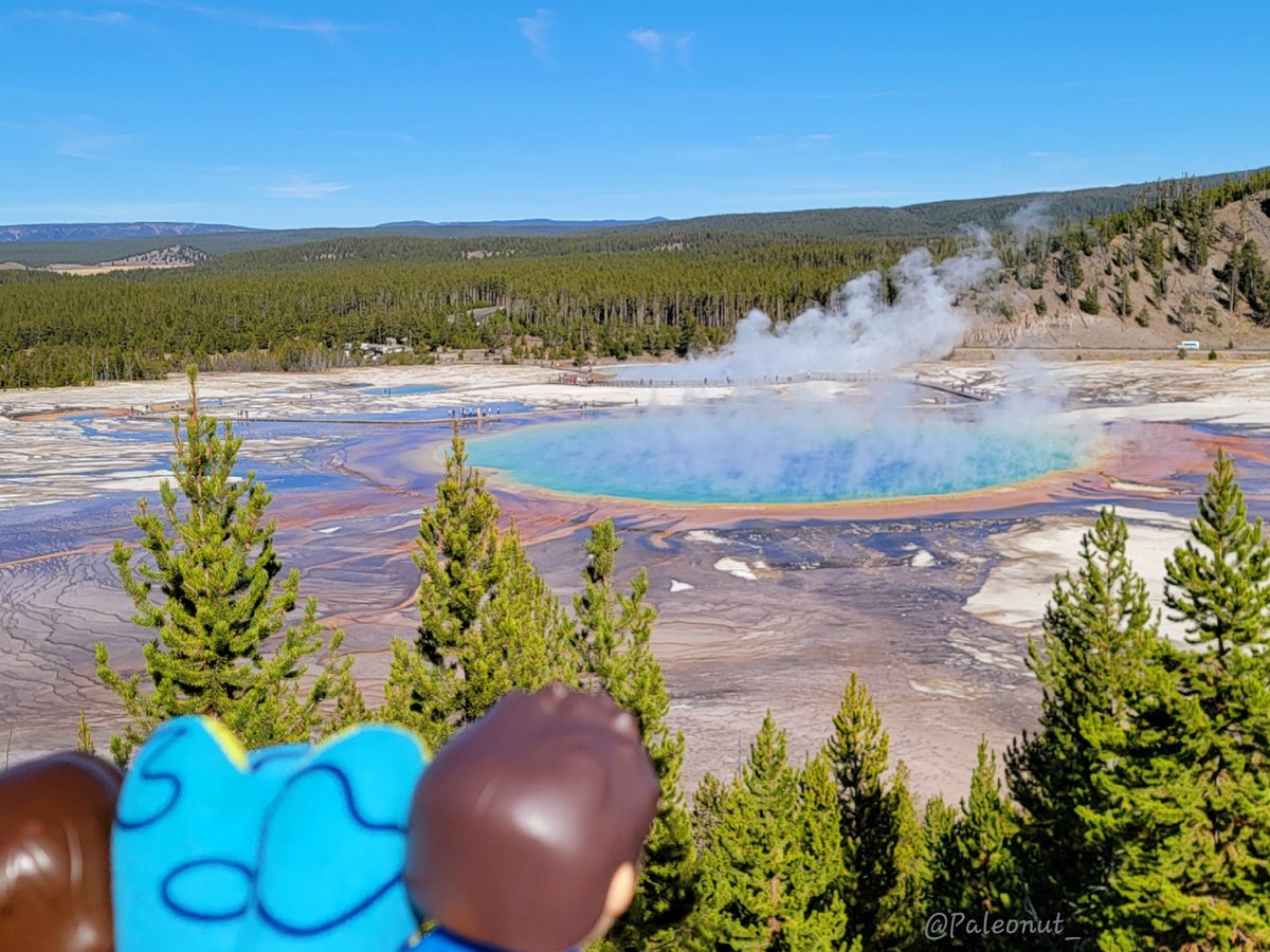 Paleonut_'s tweet photo. Yeah, this was totally worth the hike Sammy!
#PrismaticSpring
#YellowstoneNP https://t.co/8nbEovCElk