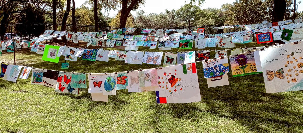 Marissa Salinas-Alva tweet media