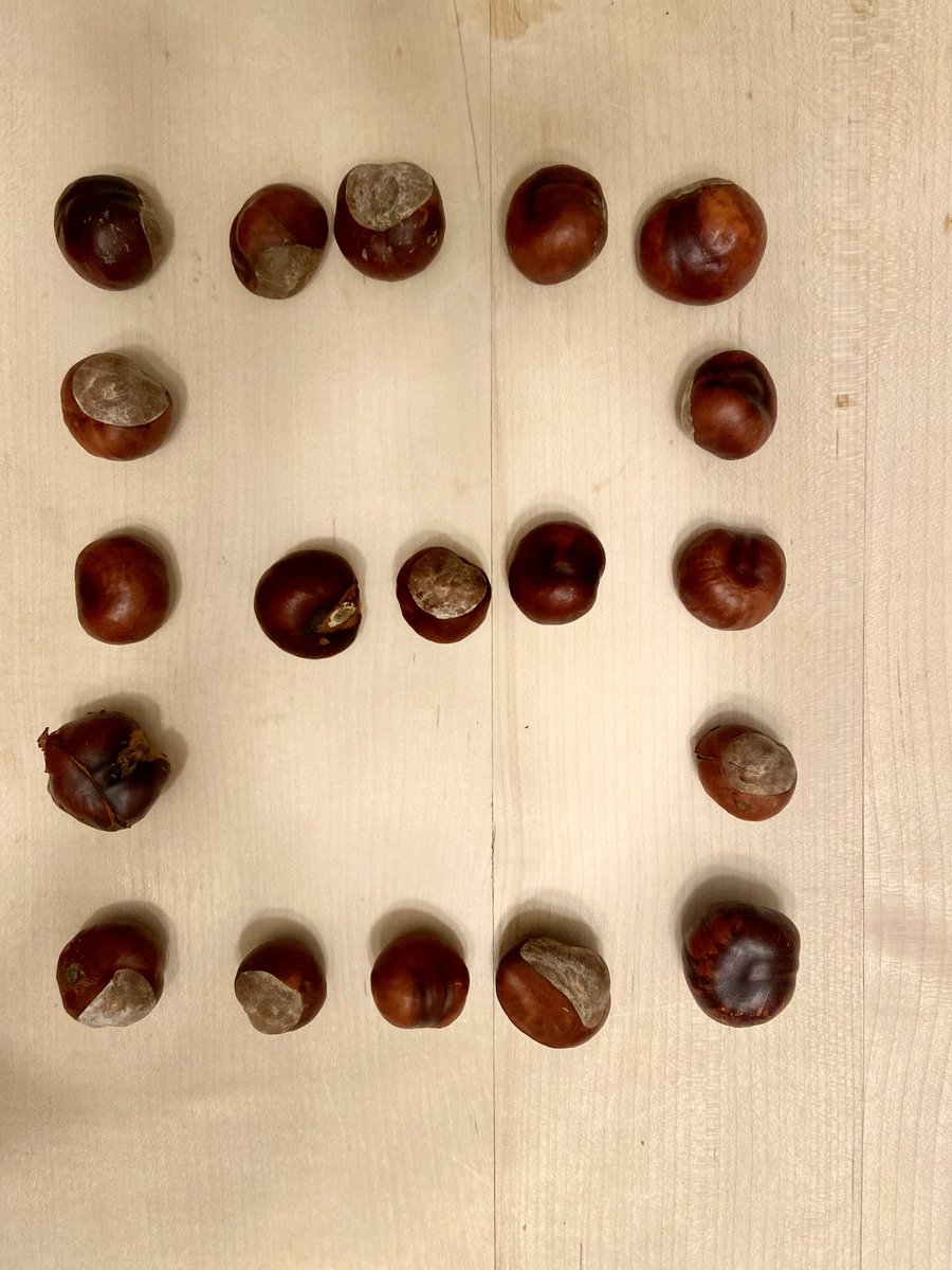 Once you’ve collected the nuts, it’s pretty fun to arrange them into a #howmany #dottalk #numbertalk image. 

How do you see how many?