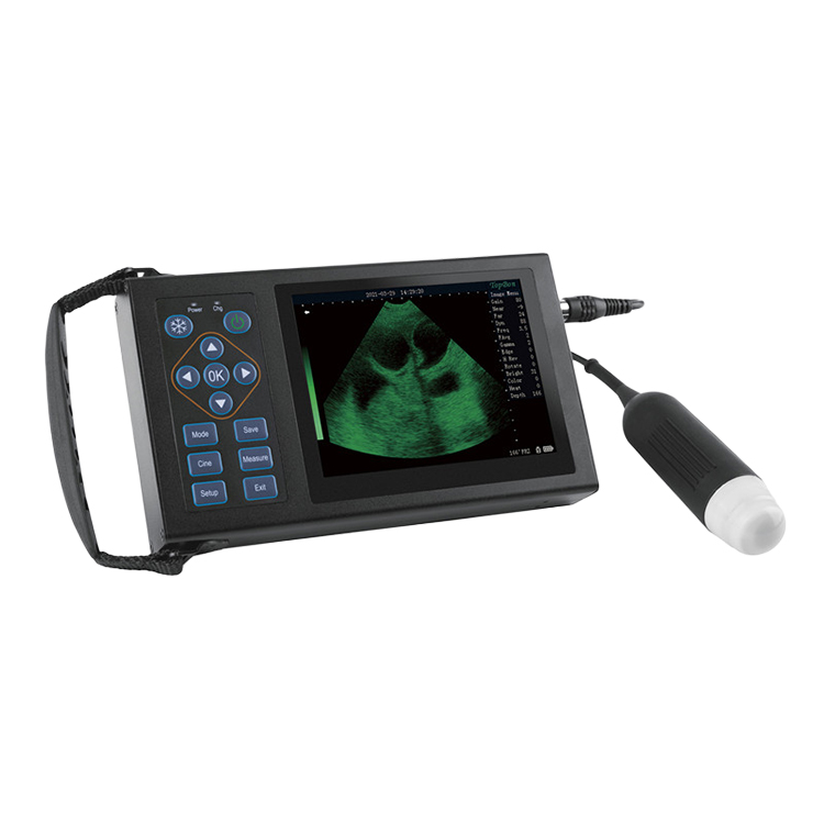 EasonShan1's tweet photo. Wireless portable ultrasound machine veterinary mechanical ultrasound scanner on https://t.co/H1WjpIvAiq
 #exhibition #onlinevendorevent #digitalevent  #o2o #exhibition2022 #o2otradeshow #o2oexhibition  #matchmarket #M #Mplatform #veterinary  #scanner https://t.co/Lnf4khQa5L