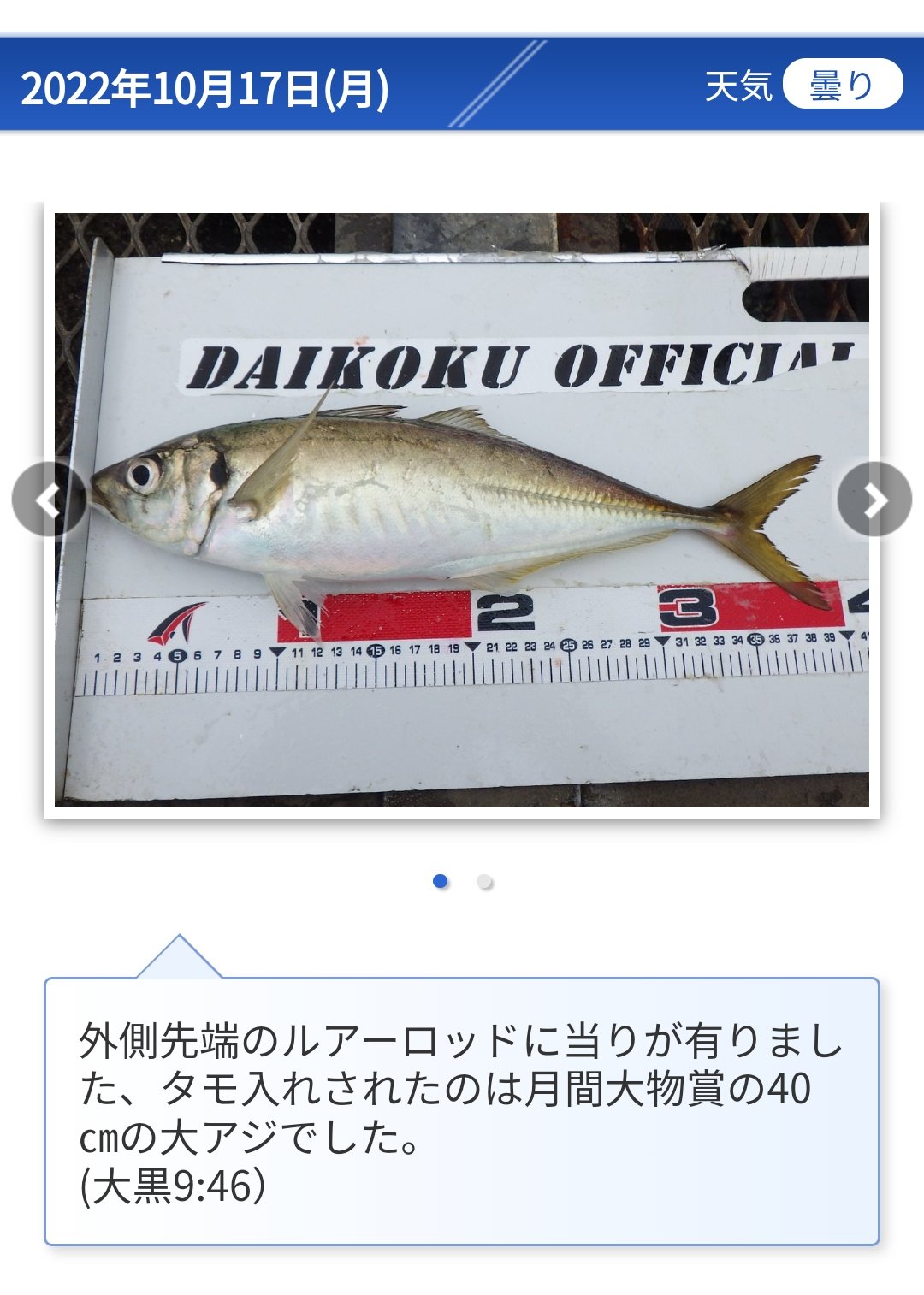 新しいコレクション リーダーフィン ロングフィンサイズ2-3（33-34