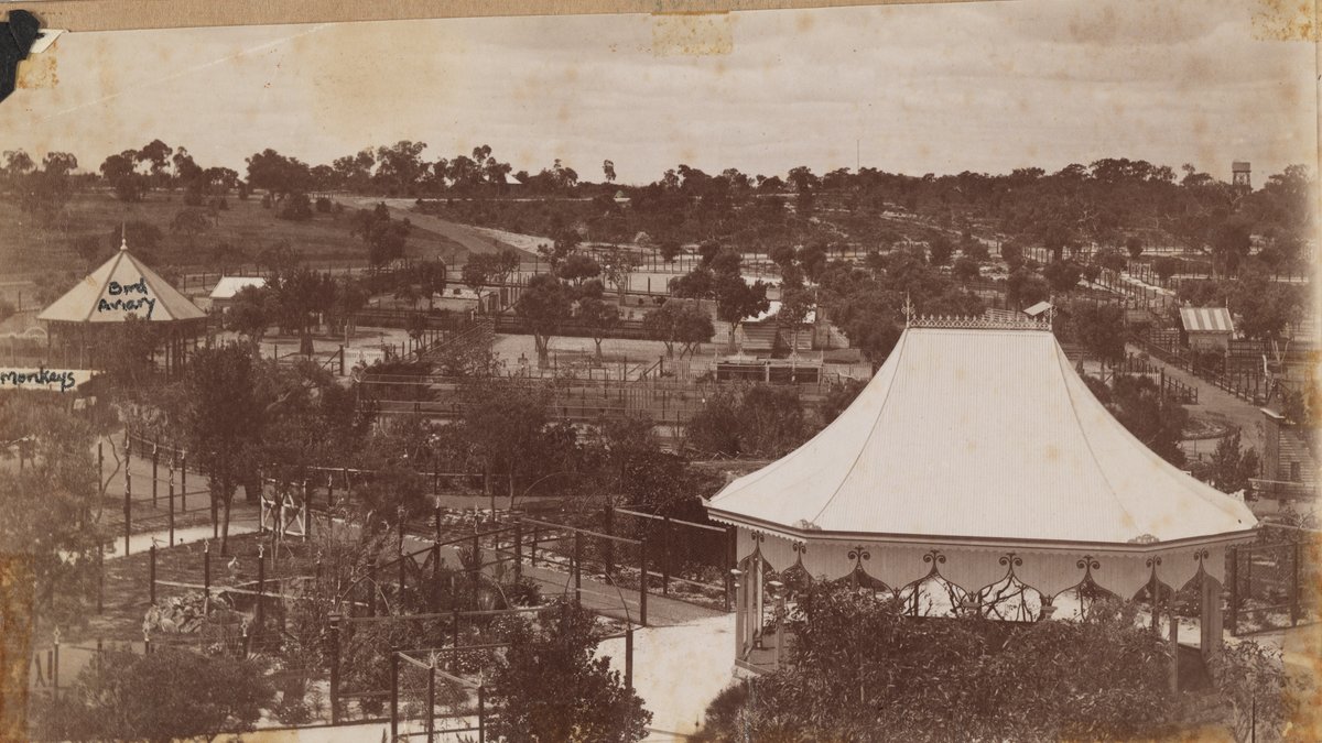 PerthZoo's tweet photo. Today we're celebrating our 124th birthday! Check out how much has changed since the early 1900s. https://t.co/jI0LZZuMl0