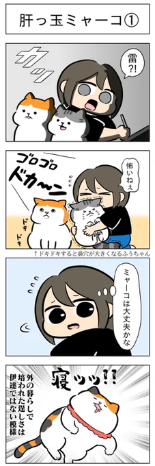 「肝っ玉ミャーコ①」
(はる蔵さんの「ふうらい日和」第68回)

つづきはこちら⇒ https://t.co/rkwe9aQkwO 