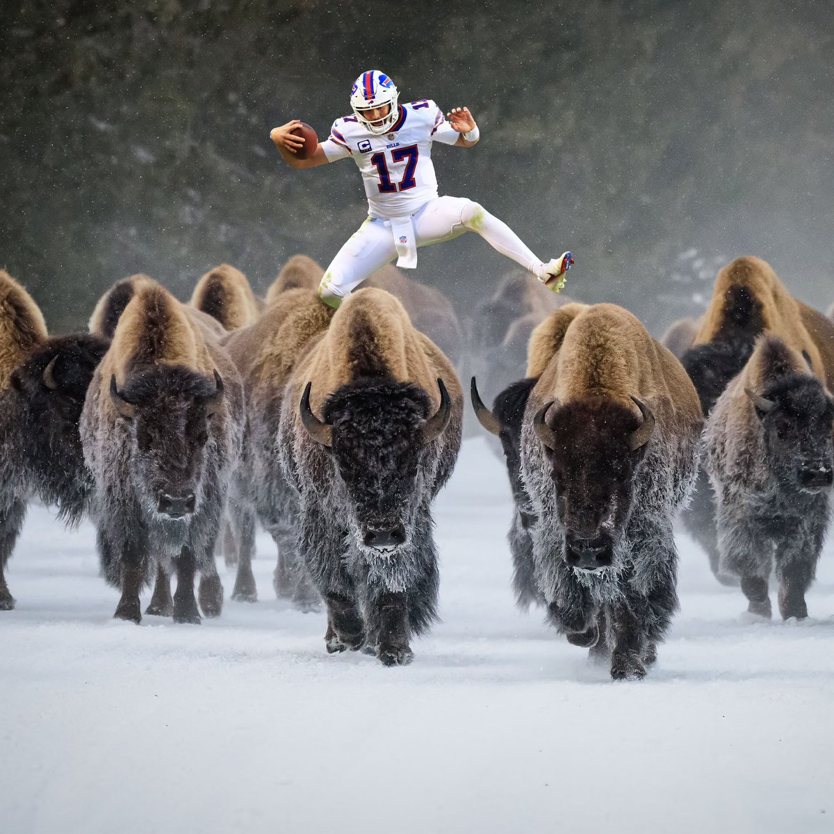 BuffaloBills's tweet photo. Y���all knew this was coming.

#JoshAllenJumpingOverThings https://t.co/pjmIy5dRdO