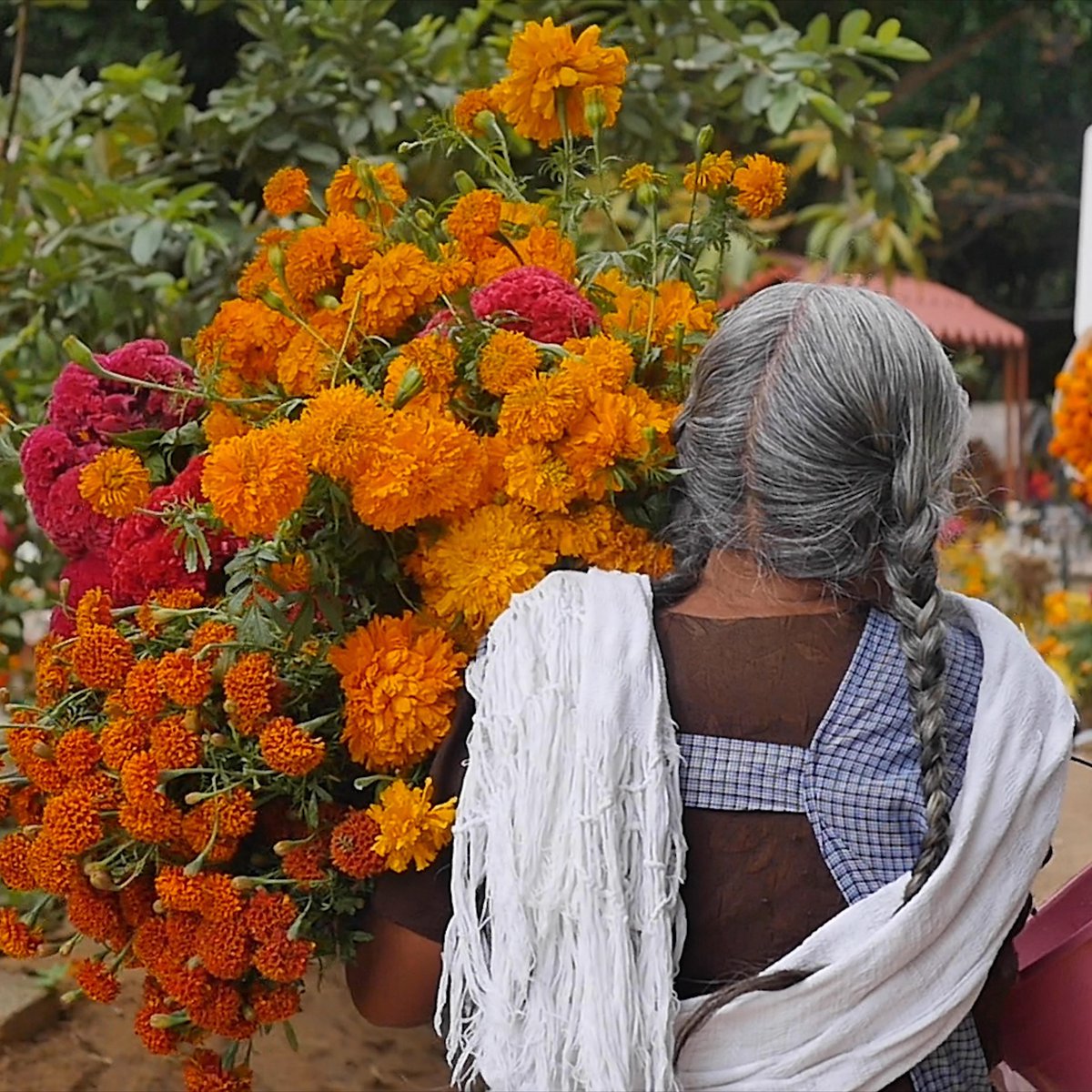 HerbanAlchemist's tweet photo. Beautiful Mexican family adorning the Grave of their Mother for #eldiadelosmuertos Celebration.   I am always amazed at how open and tolerant the Mexican people are to onlookers during such an intimate Celebration.  💀 https://t.co/sZK6cwhCQx