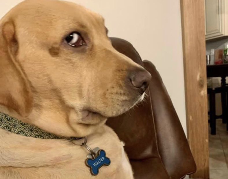 caffrey05's tweet image. Helaena, la soñadooora, en toda la coronación de Aegon

#HouseOfTheDragon