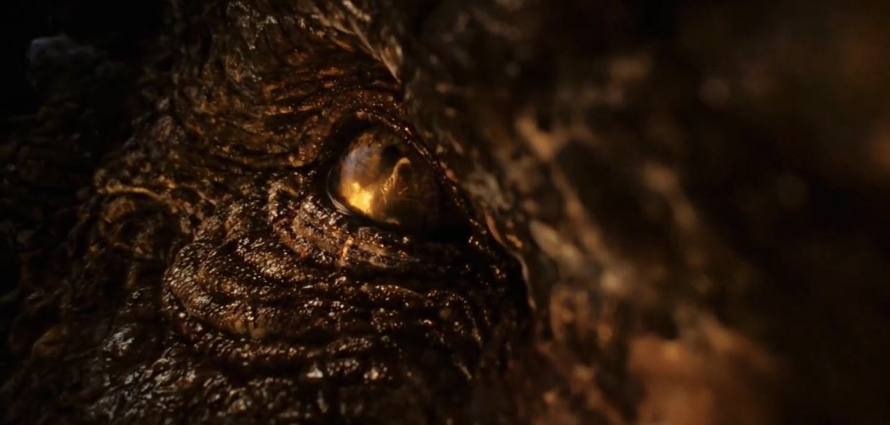 Thrones Facts HOTD 🐉 on Twitter "Vermithor, the Bronze Fury, will