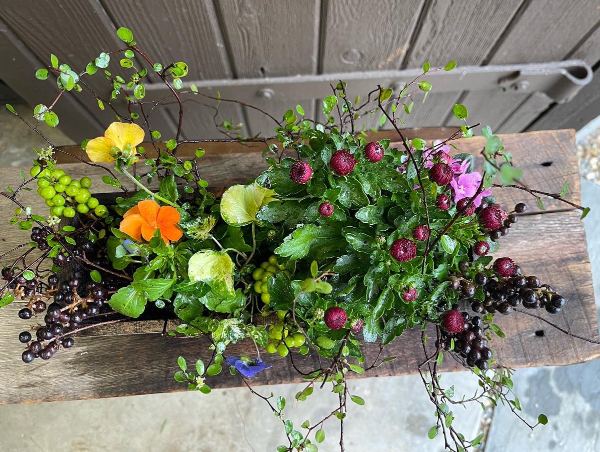 B Design Home &amp; Flowers (Insta: @flowerdesignbybeth) is donating a portion of her sales to JJ Football 🏈 
Every Tabletop Wood Planter is unique 
🌺 Order by TUESDAY 11/1 🌺
Locally delivered on 11/19!!!
Square box 6”x6”- $75 
Rectangle box 11 3/4”x4” - $95
Venmo: <a href="/KaoriHNakamura/">Kaori Nakamura</a>