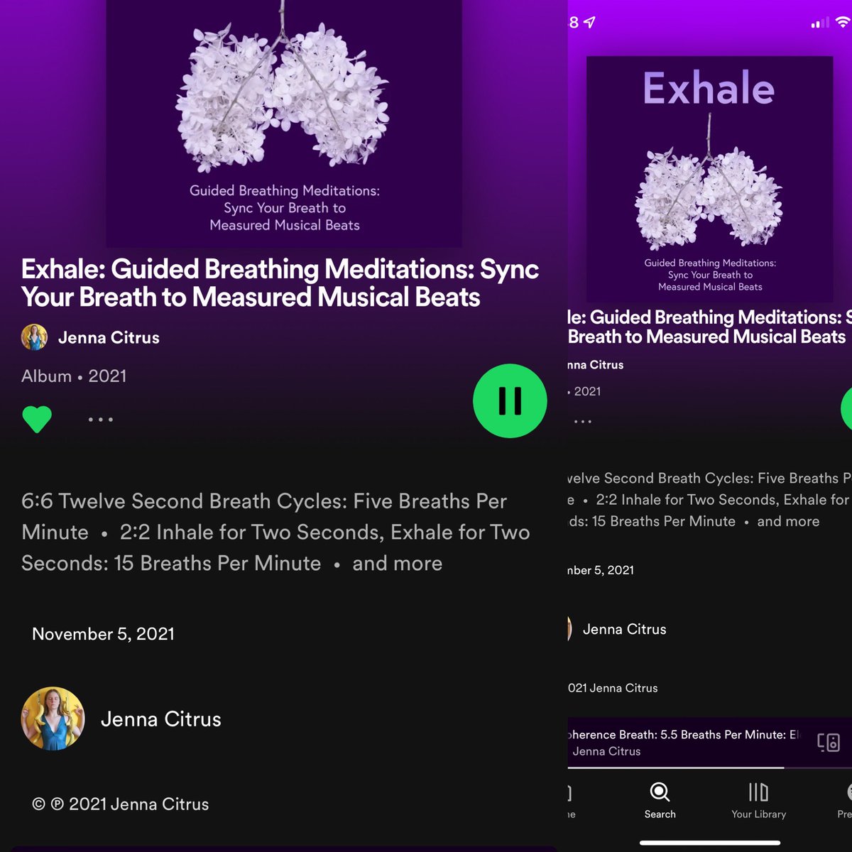 JennaCitrus's tweet photo. It’s been almost one year since my most popular #spotify #breathwork #track has been uploaded! I’m #breathing to it right now. Have you tried controlling your breath to achieve #coherence yet? #coherencecardiaque #cardiaccoherence #cardiaccoherencebreathing #cardiaccoherenceapp https://t.co/NFMGEQvFkq