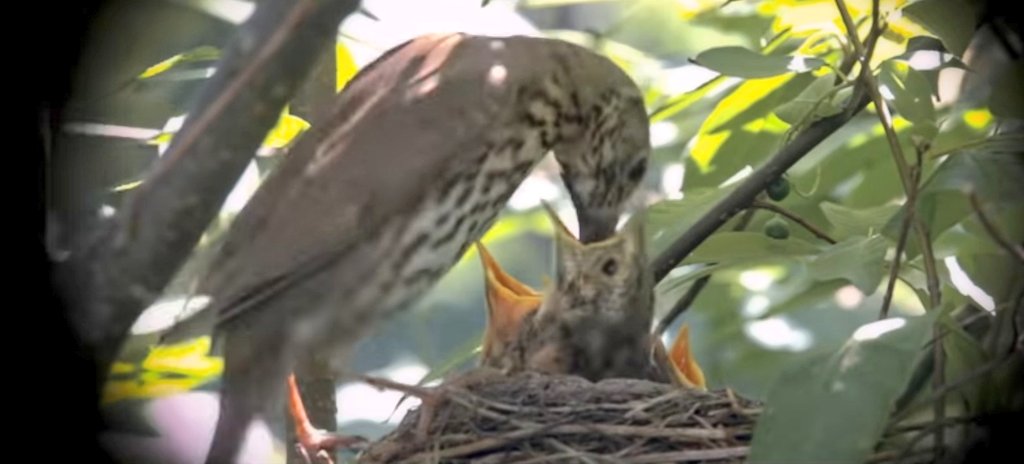 DBharathiraj's tweet image. 