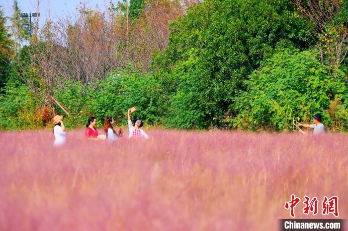 Beautiful China tweet media