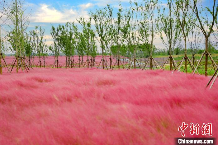 Beautiful China tweet media