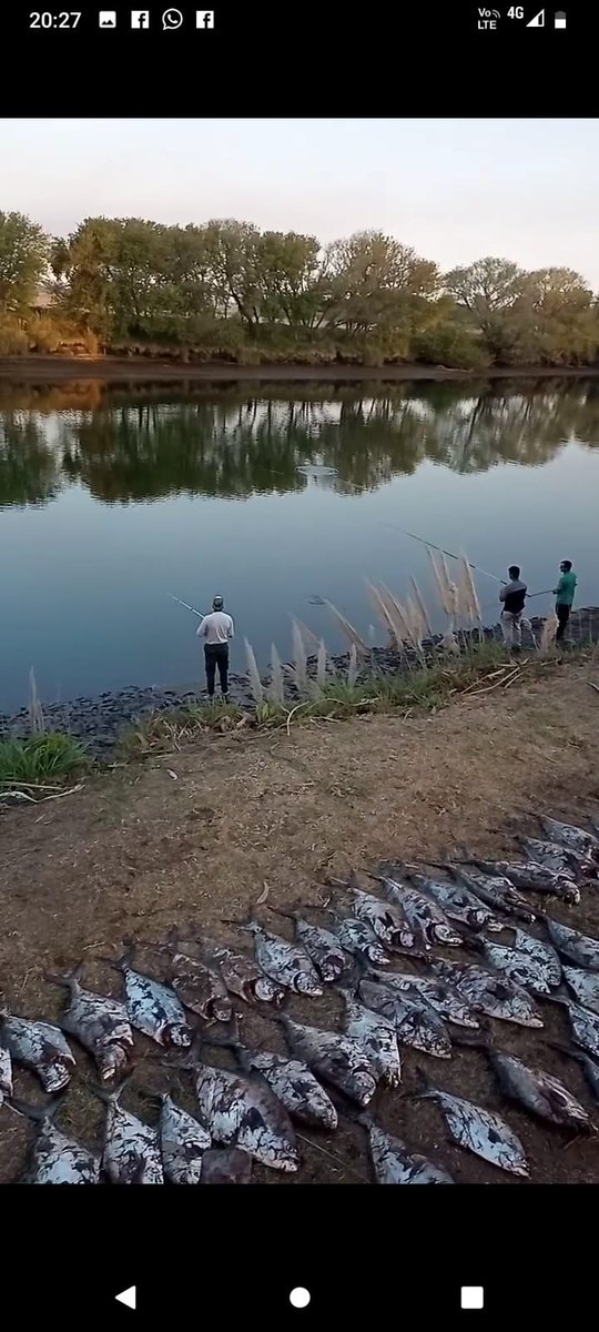 La solucion a mis problemas 🎣💙