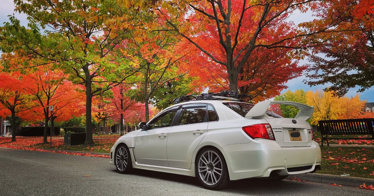 iGaryWong's tweet photo. #Impreza #WRXSTI #fallcolours @SubaruCanada @SubaruRH https://t.co/LSH1GAnTcJ