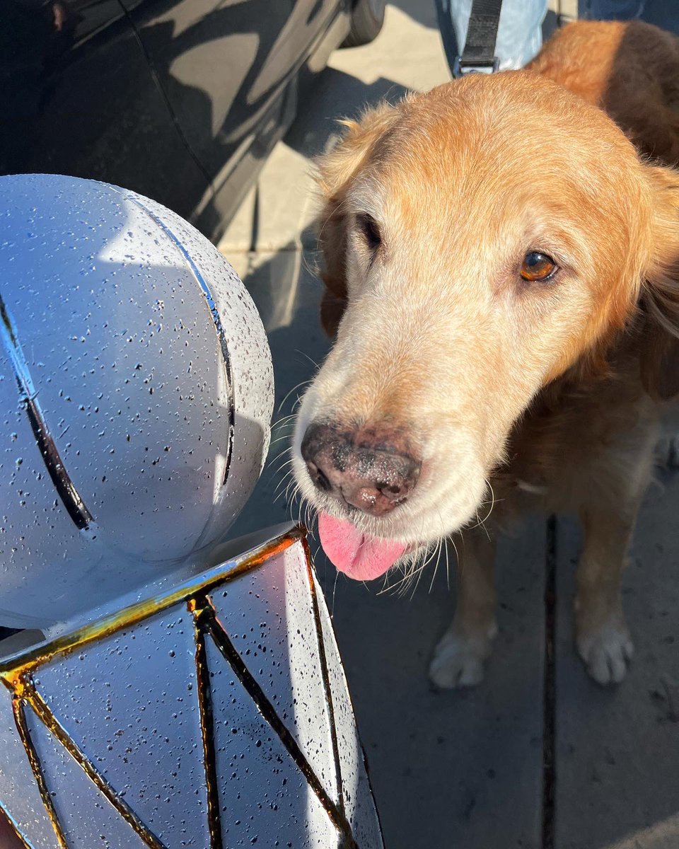 Tom Bruise tweet media