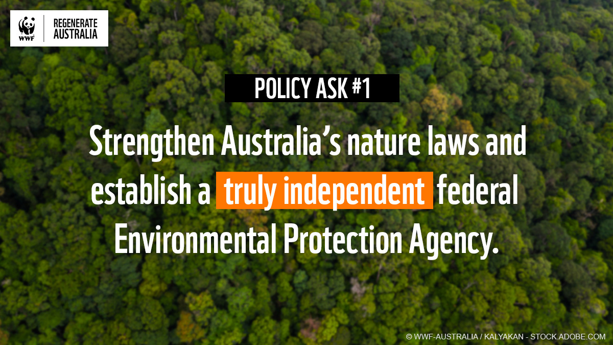WWF_Australia's tweet photo. Environment Ministers are meeting this Friday to discuss key #environmental issues. Will they work to achieve better outcomes for people and #nature?

We need strong nature laws to stop the destruction of our native wildlife and the places they call home. https://t.co/GpG1lM08Xl