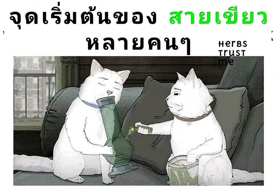 iamhappy420's tweet photo. คนจะชอบเลวยังไงเขาก็ชอบ
คนจะเกลียด ดีแค่ไหนเขาก็เกลียด!
อย่าลืมใช้ชีวิตให้มีความสุขมีรอยยิ้ม
เพราะคุณเกิดมาแค่ครั้งเดียวบนโลกใบนี้ https://t.co/OPidbf93fk