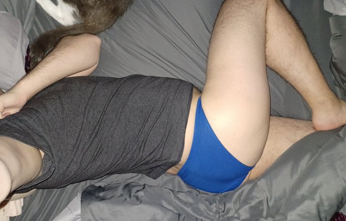 Mr Toby keeping me company :3 https://t.co/ZNmCRxI5ss