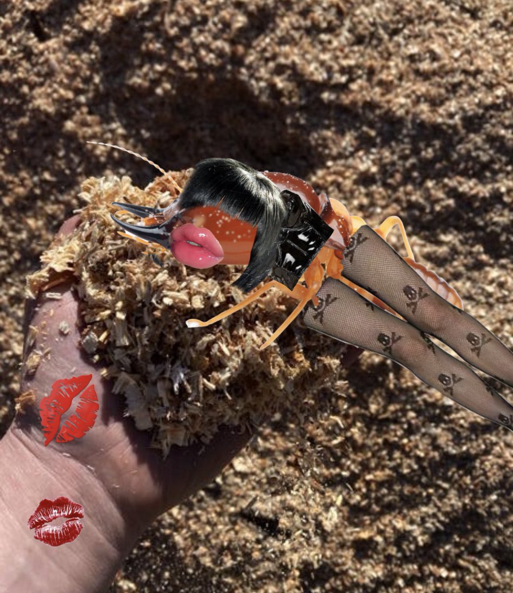 a termite could dream🤭 #TermiteTwitter