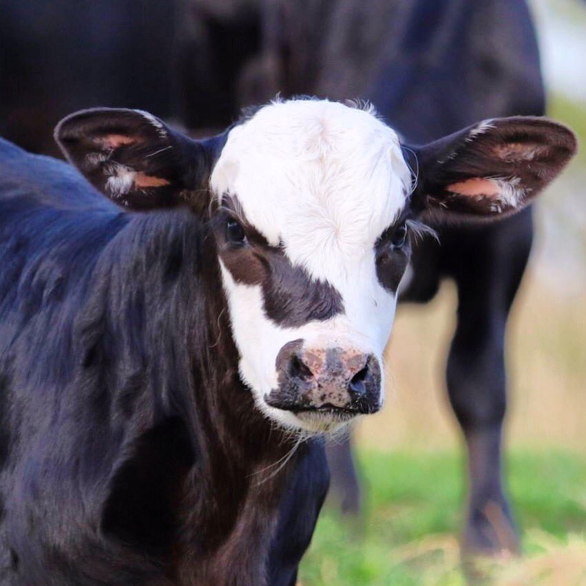 It’s Monday. Get your game face on.