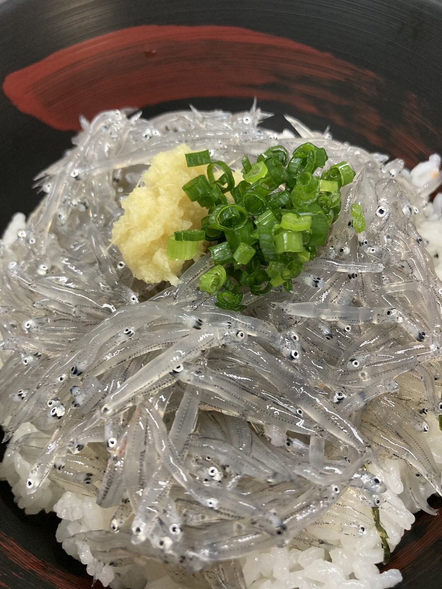 生しらす丼まだあります！ぷりぷり感ハンパないです^_^