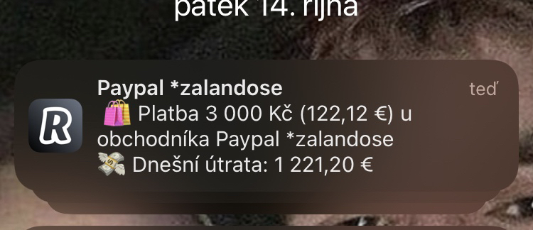 Success post from Zvgy