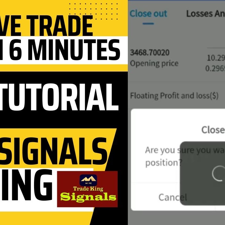 Trade King tweet media