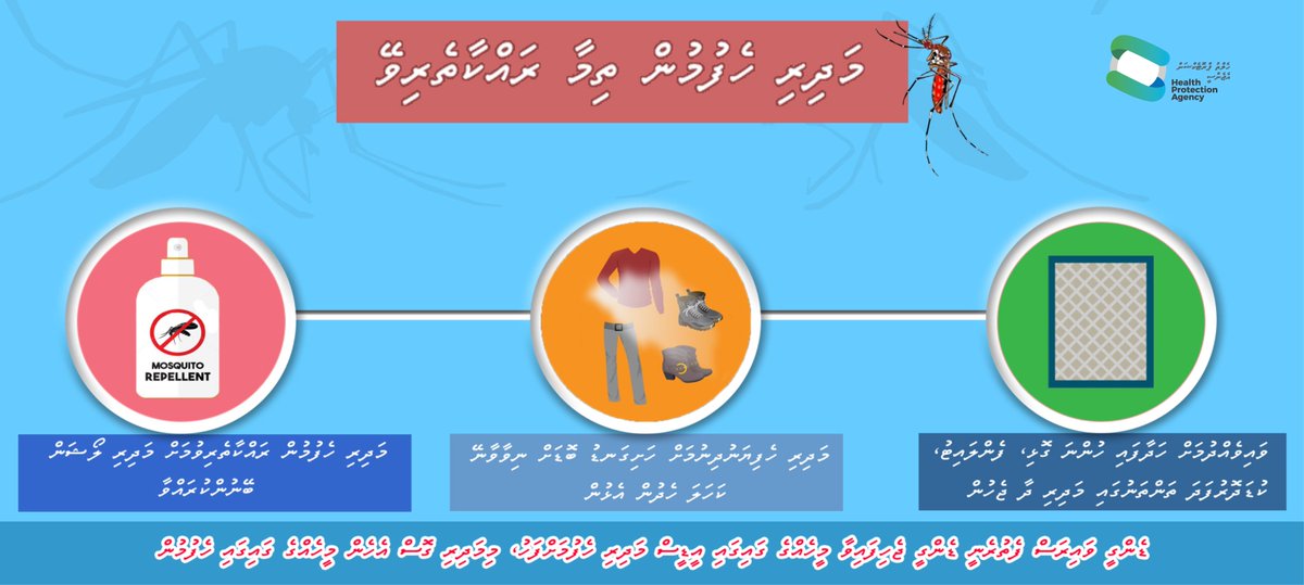 ޑެންގީ އިން ރައްކާތެރި ވުމަށް އެޅިދާނެ ފިޔަވަޅުތައް  ދެނެގަންނަމާ!