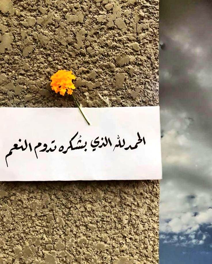 vilp91's tweet photo. 🔺
#صباح_الخير https://t.co/VEyW61Rso2