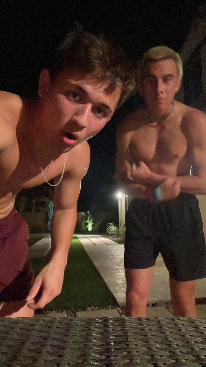 Knights Assasins tweet media