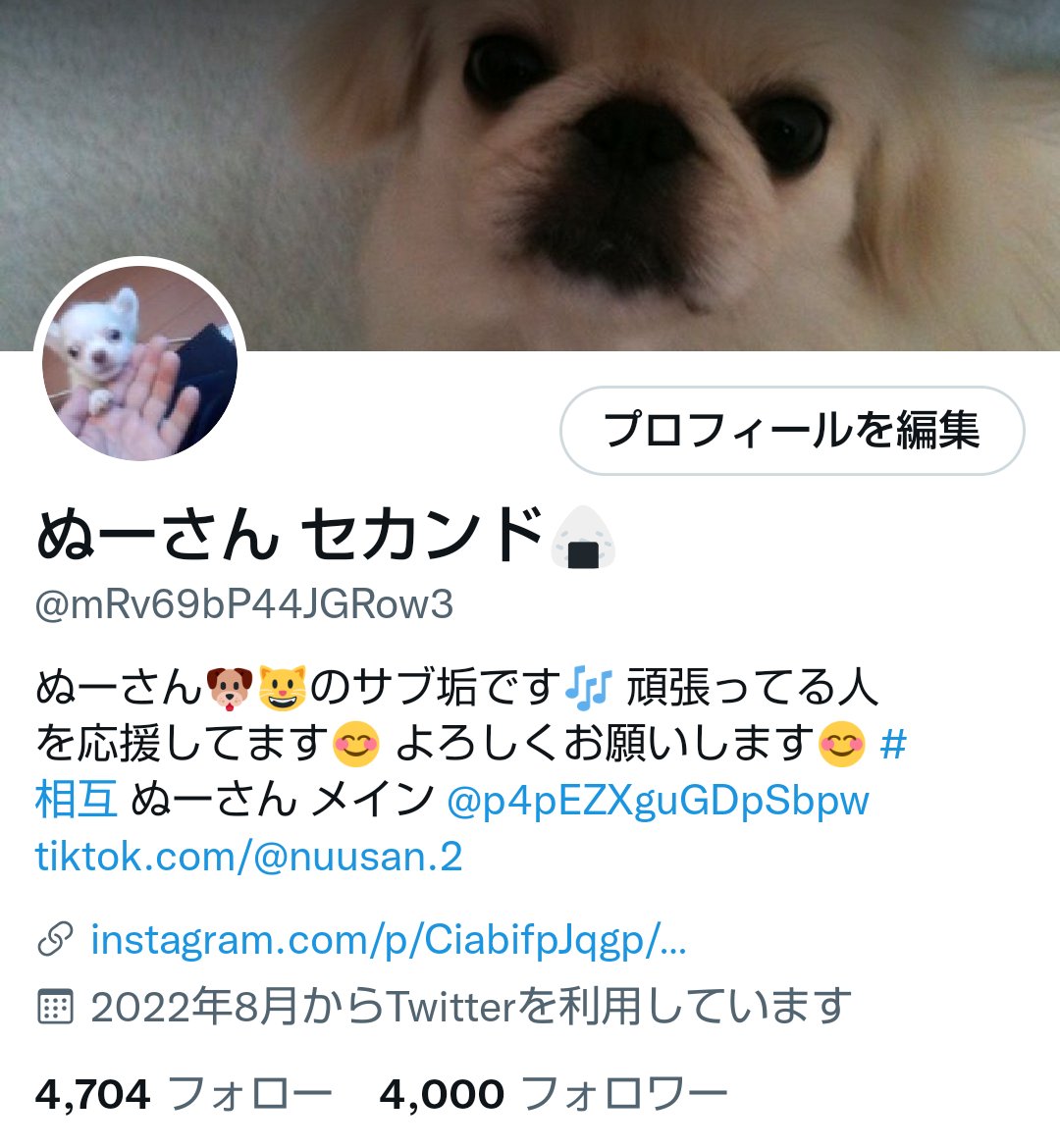 4000フォロワー達成させて頂きました🐶😺😀🙏
これからも サブ垢ですが よろしくお願いします😀🙏
