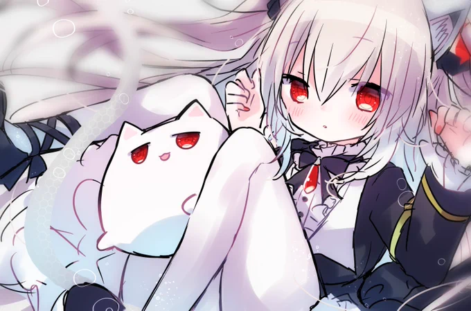 #Nora_Cat  