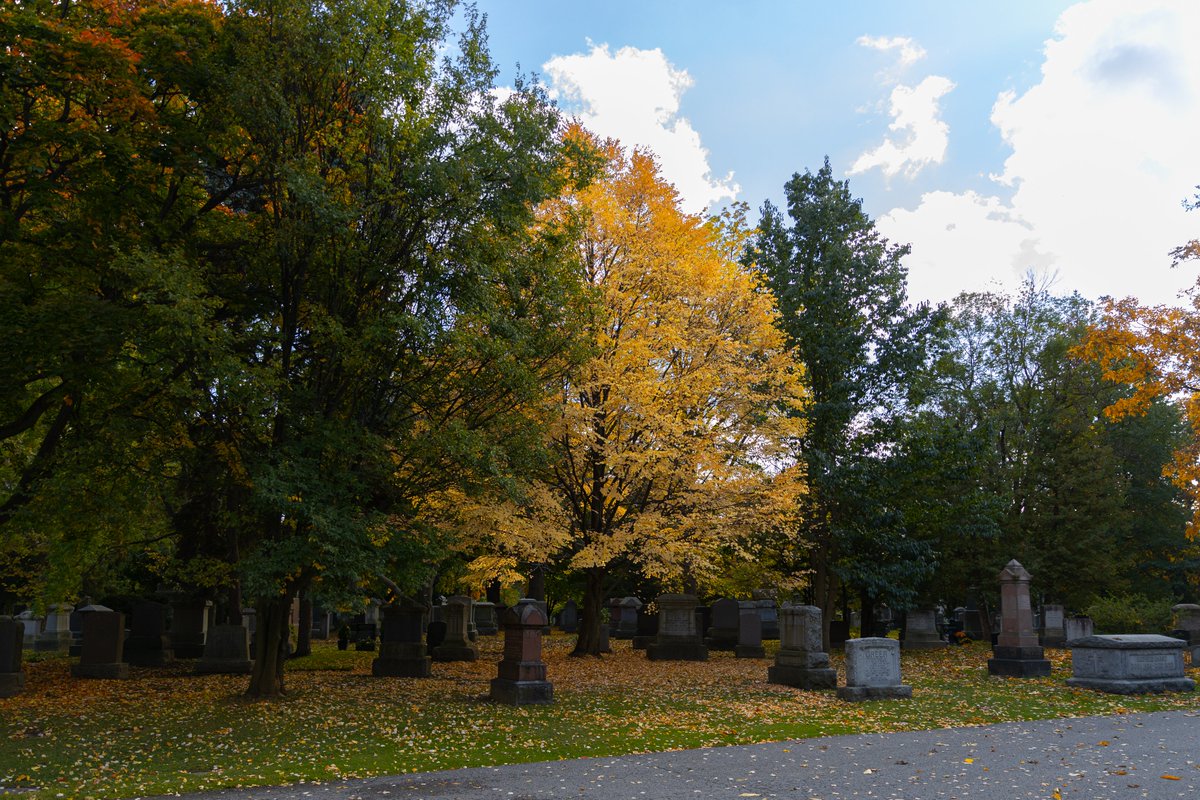AGreatCapture's tweet photo. Strolling though Mount Pleasant Cemetery enjoying the Autumn leaves. #MountPleasantCemetery #Fall #Leaves #Fall2022 #fallcolors #fallcolours #fallfoliage #AutumnVibes #Autumn2022 #Toronto #TorontoExplore #photography https://t.co/GN2fZPyvQT