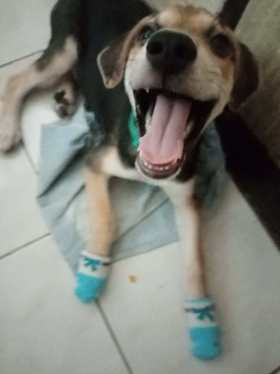 asul08's tweet photo. Happy baby! https://t.co/HPC2BaCtGN