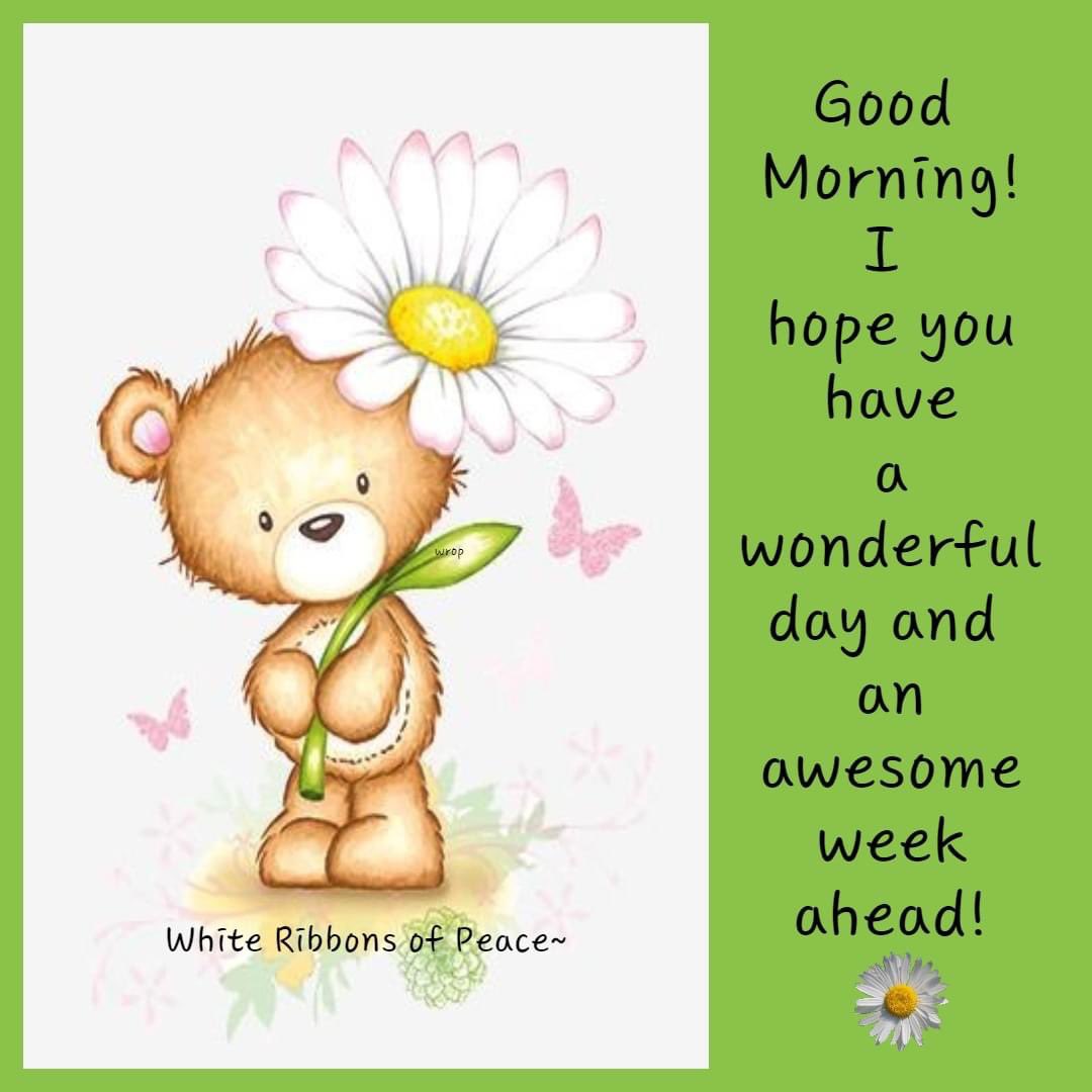 Al (@latif9al) on Twitter photo 