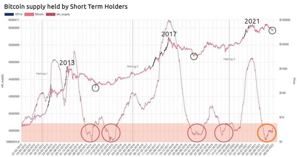 TRRoot: weak hands washed out - supply of BTC held by short-term holders drops to very low levels = usually coincides with a bottom.