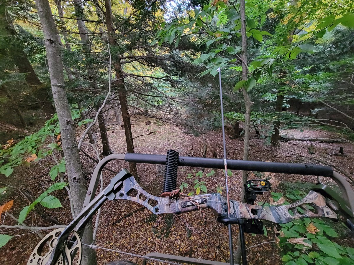 TheMichigan_Man's tweet photo. Well, tonight I missed a 7-Point. It's wild how it doesn't matter how long you hunt, you will always be in a constant state of learning. Archery season brings many challenges, but it's all part of my love for the experience. #getoutside #hunting #October #Michigan #deer #archery https://t.co/k6vAejo3qr