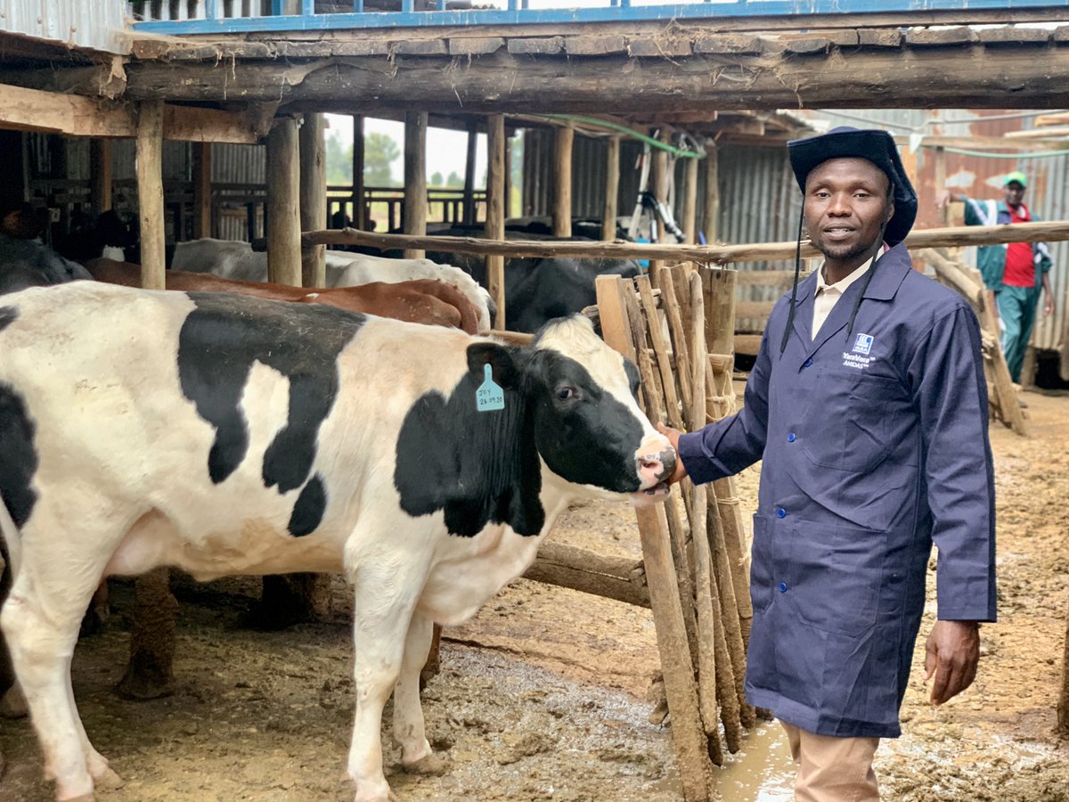 rodgers_kirwa's tweet photo. A visit to NORTH RIFT DAIRY FARM in Cheplaskei , Uasin Gishu County. A farm owned by one Samwel.

#AgribusinessTalk254

1/5 
￼ https://t.co/UdaEWDxqOv