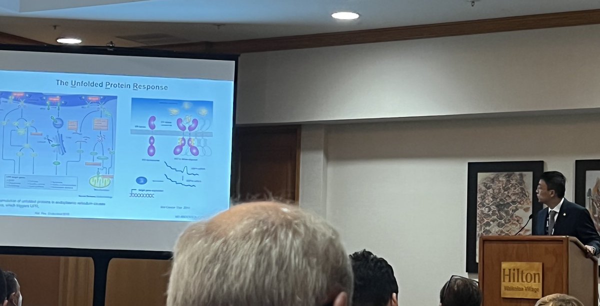 ACKoongMDPhD's tweet photo. Dr. Liang Wang presents data linking the unfolded protein response (UPR) pathway with replication stress. Important therapeutic implications for cancer therapy.  #RadRes2022 #radonc #endcancer ⁦@MDAndersonNews⁩ ⁦@Dadi_Jiang⁩ https://t.co/ls18NIhPgz