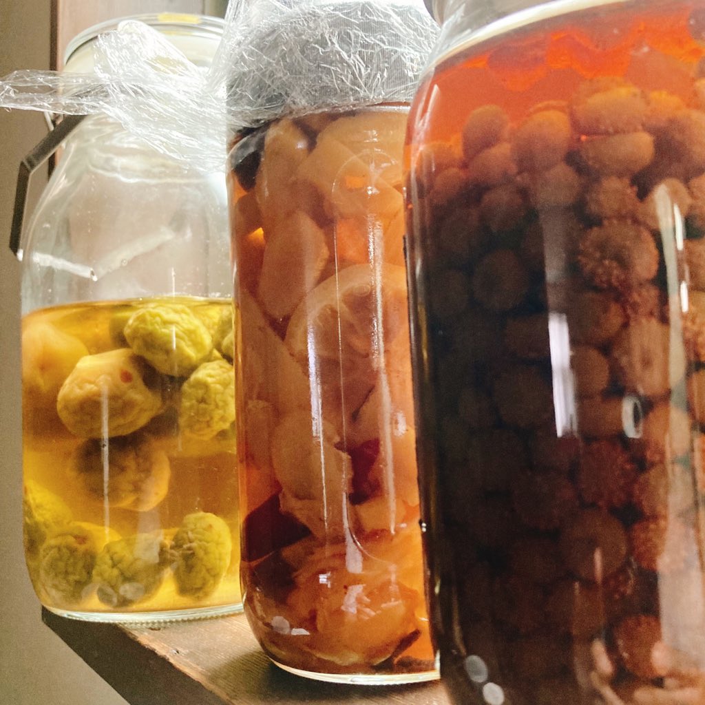 本人がハーバリウムだと思えば。
#飲めるハーバリウム 
#長い間鑑賞できる
#嫌になったら飲む　
#はーばりうむ 
#ハーバリウム 
#梅酒 
#ジンジャエールシロップ 
#ヘビイチゴチンキ 
#今は鑑賞用