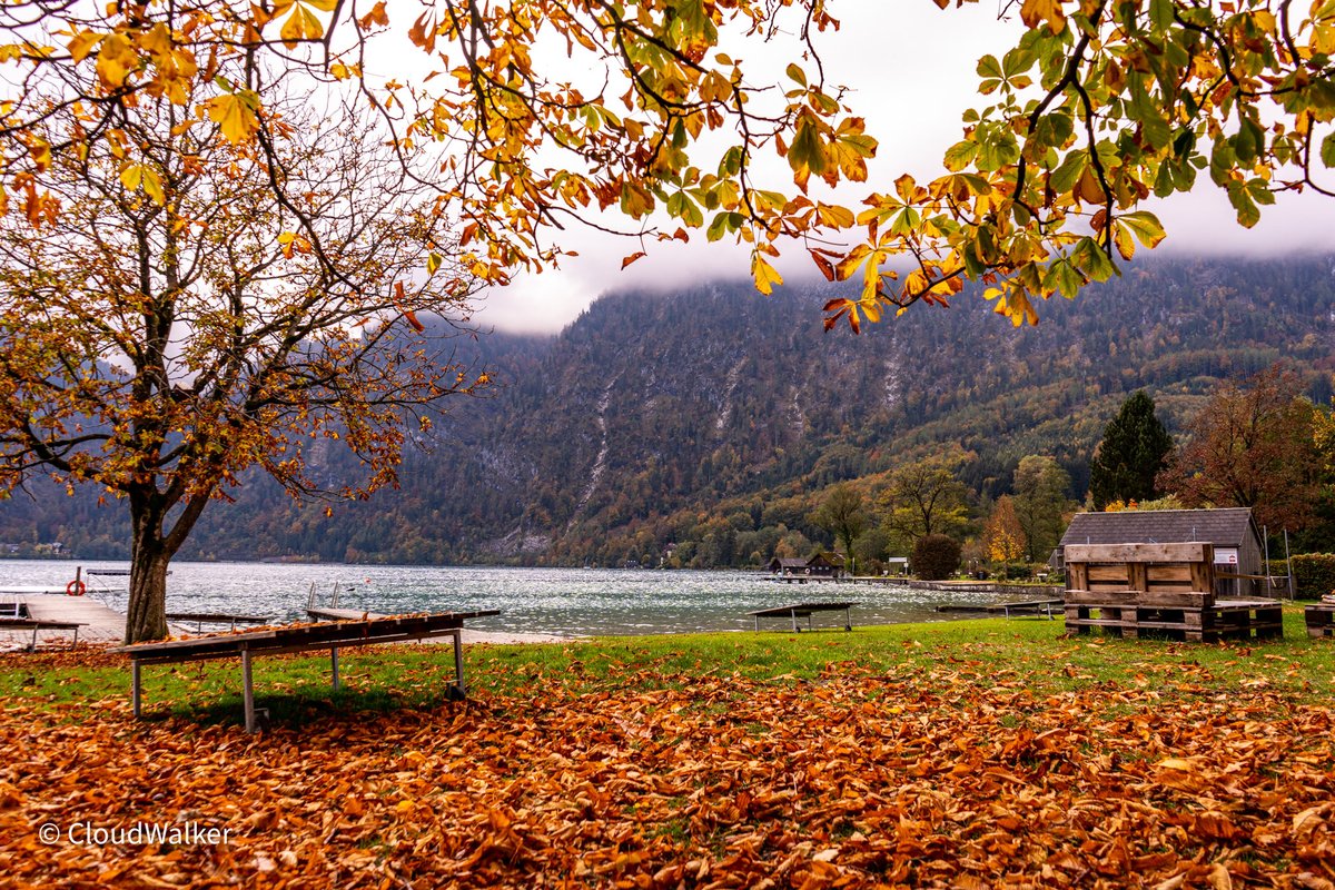 walkercloud13's tweet photo. Good morning everyone 🤗 have a nice and quiet day ☀️ View of the Attersee, Unterach 💦🍁🍂 #landscape #naturephotography #Attersee #Unterach #Austria #Salzkammergut #SonyAlpha 💦🍂💦🍁💦🍁💦🍂💦 https://t.co/0ylIADsRg3