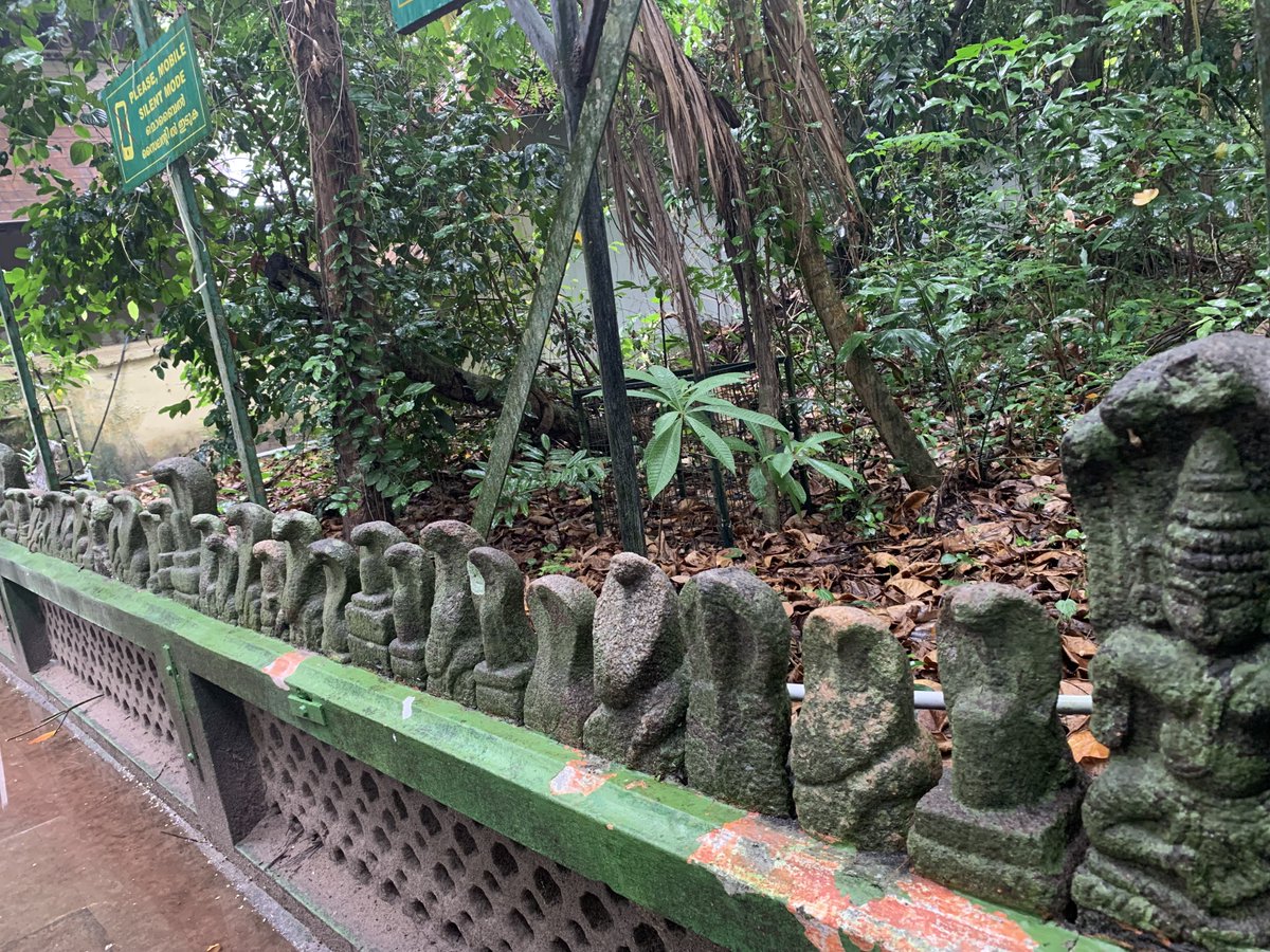 royaltrails's tweet photo. Mannarasala Sree Nagaraja Temple in Haripad, Kerala is a very ancient Serpent God temple. Nestled in a forest glade or Kavu, the temple complex remains coolers than the surroundings in summer. #Kerala #travel #travelphotography #travelblogger @KeralaTourism #snakes #templecomplex https://t.co/nfpu5wUE0d