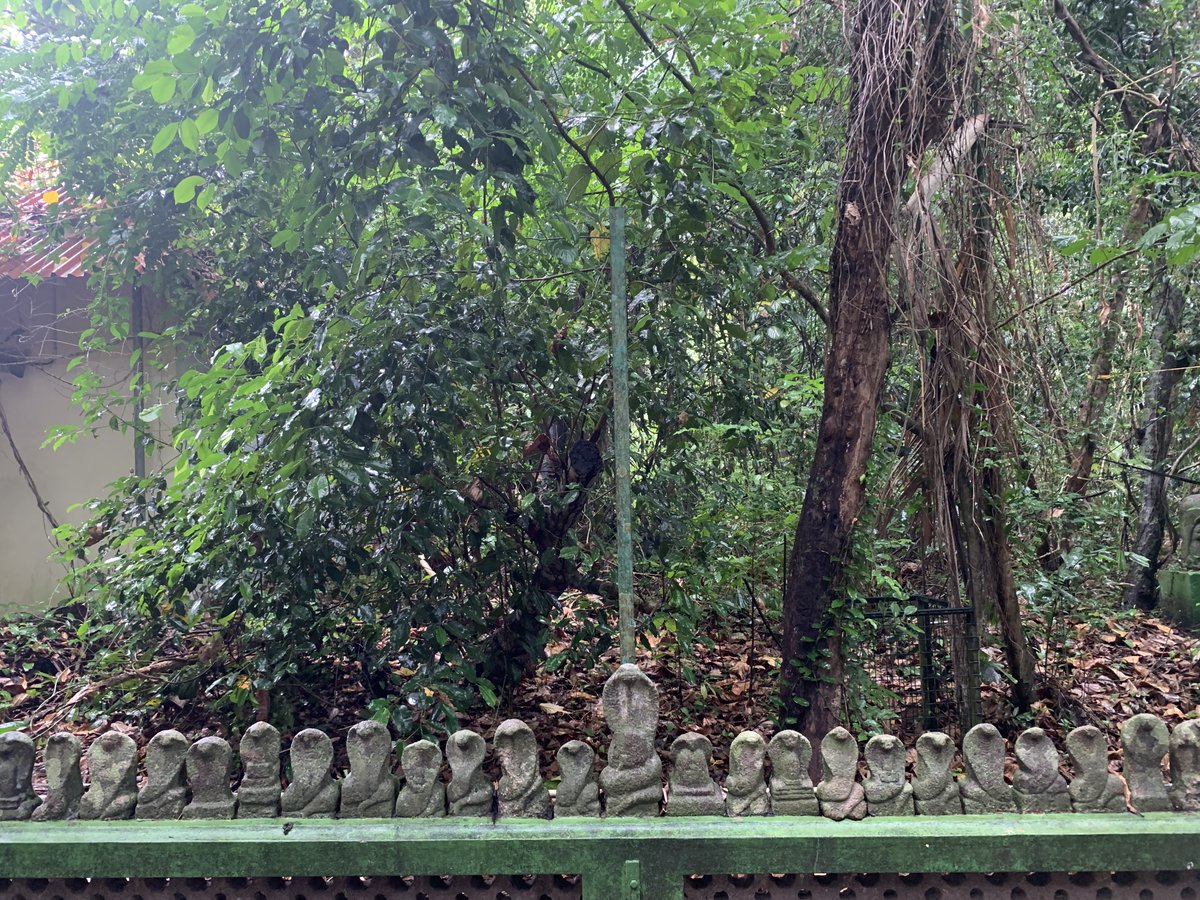 royaltrails's tweet photo. Mannarasala Sree Nagaraja Temple in Haripad, Kerala is a very ancient Serpent God temple. Nestled in a forest glade or Kavu, the temple complex remains coolers than the surroundings in summer. #Kerala #travel #travelphotography #travelblogger @KeralaTourism #snakes #templecomplex https://t.co/nfpu5wUE0d