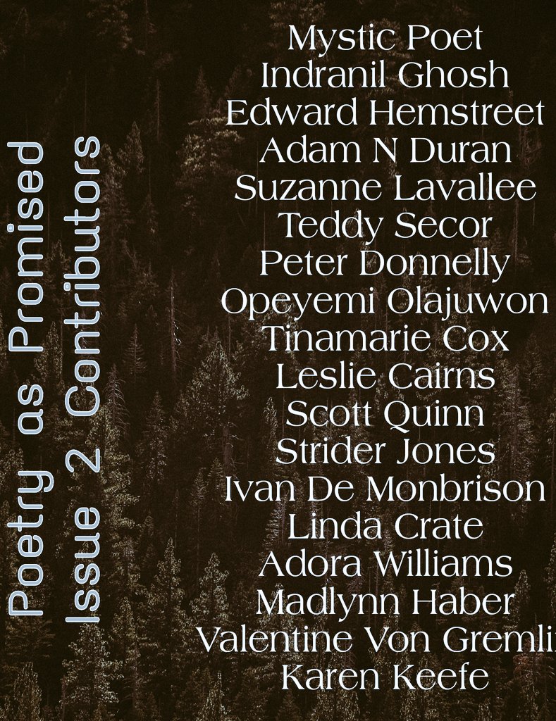 Poetry As Promised Lit Mag~SUBS CLOSED tweet media