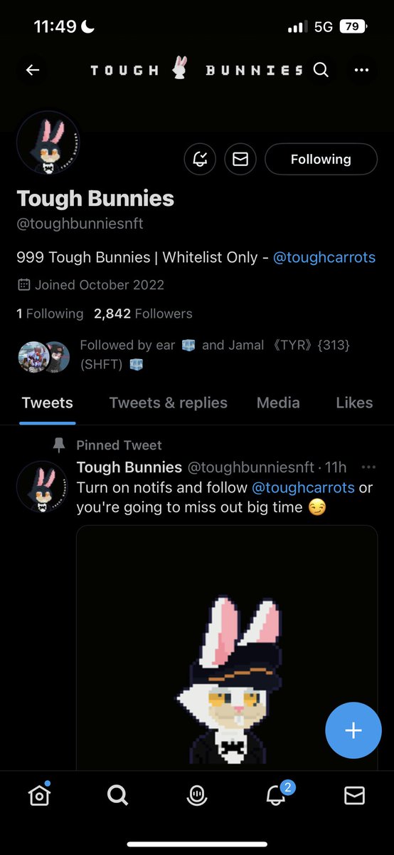 ICE BAY DAO tweet media