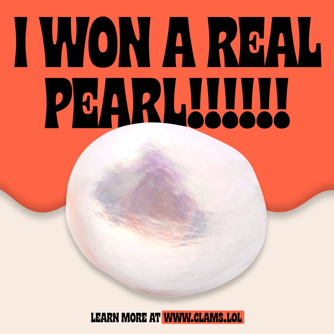 JadenKale's tweet photo. Well, it's not a car or a clam-themed vacation, but I got something for nothing. Thanks, @CAH #clamonaise. P.S.: if no one wants the car, I'm still willing to ride around in a #CAH car. https://t.co/GL3sVLxeSl