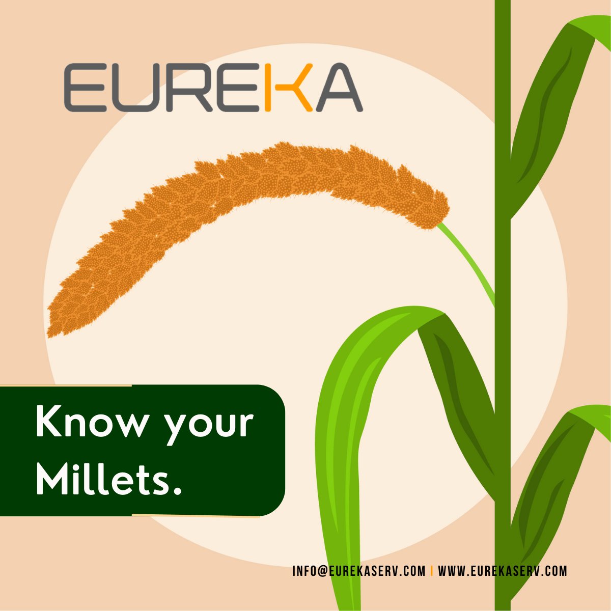 eureka_serv's tweet photo. As per traditional medicine, millets support digestion, improve appetite, nourish prana and blood deficiencies, increase lactation, and calm sleep.
Eureka is a leading contributor to ensuring food safety and assurance.
#millets #foodtesting #testwiththebest #yourhealthmatters https://t.co/RchIdtmZ9b