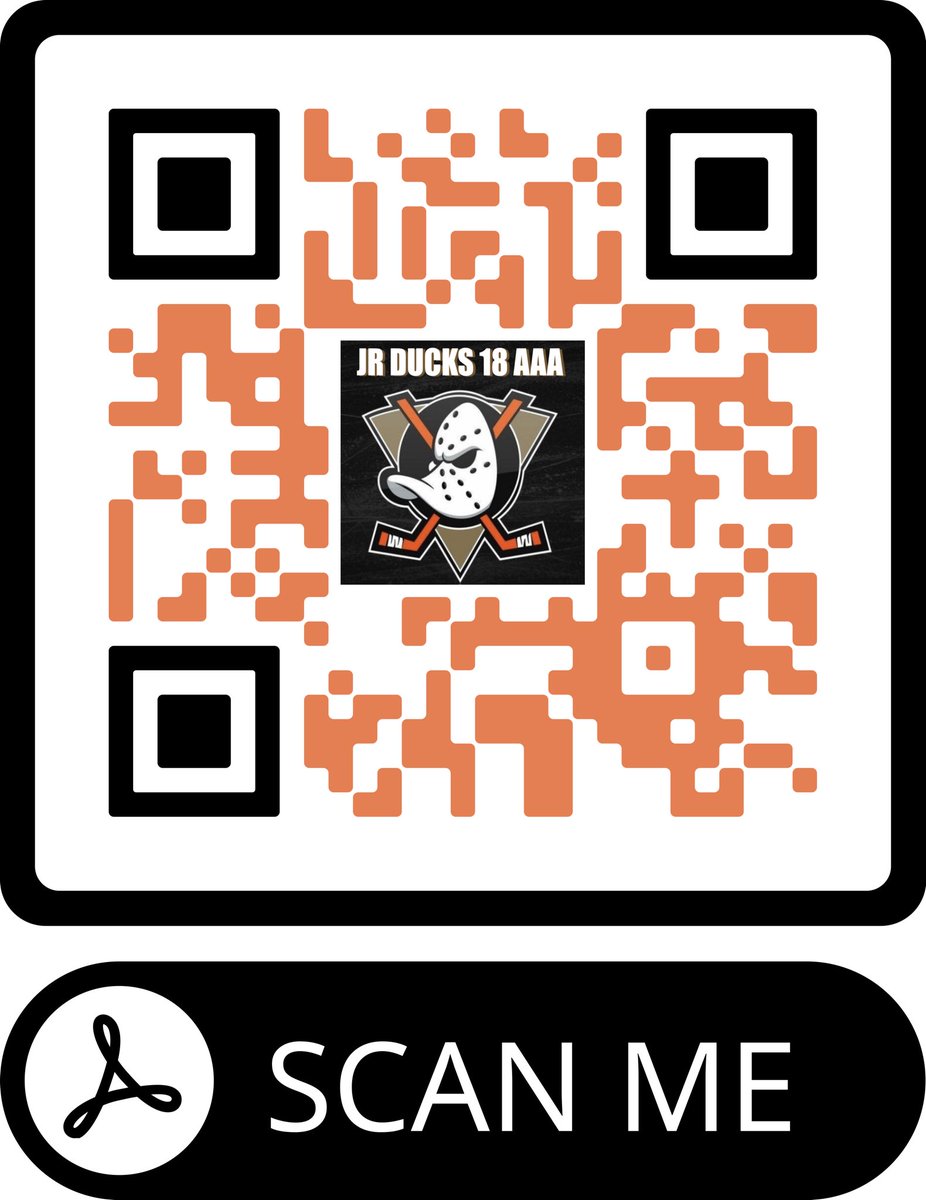 Jr Ducks 18 AAA tweet media