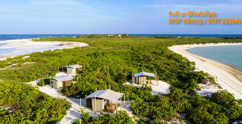 Containers_TZ's tweet image. Direct WhatsApp: wa.aisensy.com/MnK0vV 

#containershops #shippingcontainers #containerstalls #reeferskenya #kenyacontainers #containersTanzania #ContainersUganda #refregeratedcontainers #stalls #containersforsale #containerzanzibar #containerairbnb #containercamp